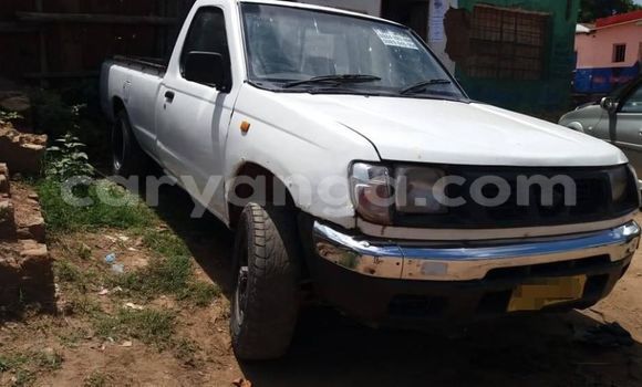 Buy Used Nissan Hardbody White Car in Blantyre in Malawi Buy Used Nissan Hardbody White Car in Blantyre in Malawi