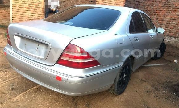 Buy Used Mercedes‒Benz S–Class Silver Car in Blantyre in Malawi Buy Used Mercedes‒Benz S–Class Silver Car in Blantyre in Malawi