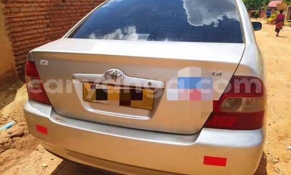 Nunua Ilio tumika Toyota Corolla Silver Gari ndani ya Blantyre nchini Malawi Nunua Ilio tumika Toyota Corolla Silver Gari ndani ya Blantyre nchini Malawi