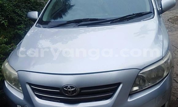 Buy Used Toyota Corolla Silver Car in Blantyre in Malawi Buy Used Toyota Corolla Silver Car in Blantyre in Malawi