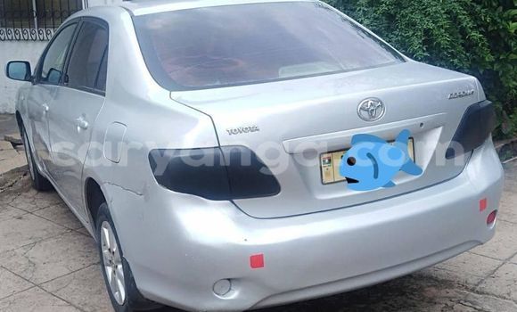 Buy Used Toyota Corolla Silver Car in Blantyre in Malawi Buy Used Toyota Corolla Silver Car in Blantyre in Malawi