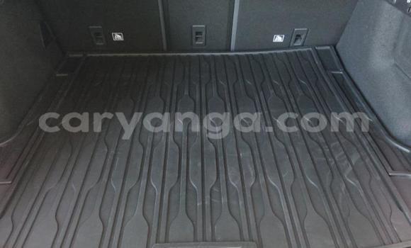 Nunua Ilio tumika Land Rover Range Rover Velar Other Gari ndani ya Blantyre nchini Malawi Nunua Ilio tumika Land Rover Range Rover Velar Other Gari ndani ya Blantyre nchini Malawi