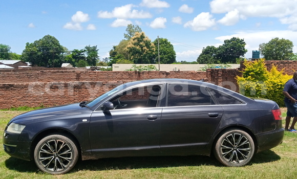 Acheter Occasion Voiture Audi A6 Autre à Nkhotakota, Malawi Acheter Occasion Voiture Audi A6 Autre à Nkhotakota, Malawi