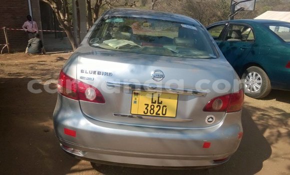 Nunua Ilio tumika Nissan Hardbody Black Gari ndani ya Limbe nchini Malawi Nunua Ilio tumika Nissan Hardbody Black Gari ndani ya Limbe nchini Malawi