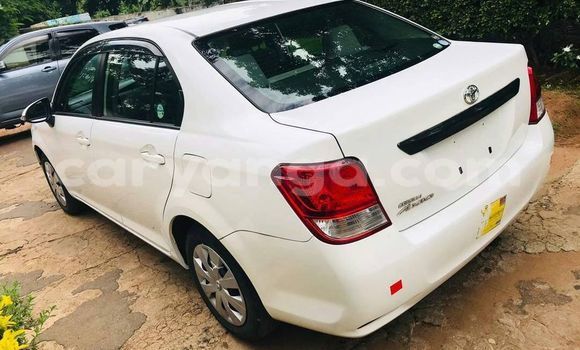 Nunua Ilio tumika Toyota Axio White Gari ndani ya Blantyre nchini Malawi Nunua Ilio tumika Toyota Axio White Gari ndani ya Blantyre nchini Malawi