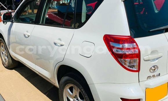 Nunua Ilio tumika Toyota RAV4 White Gari ndani ya Blantyre nchini Malawi Nunua Ilio tumika Toyota RAV4 White Gari ndani ya Blantyre nchini Malawi