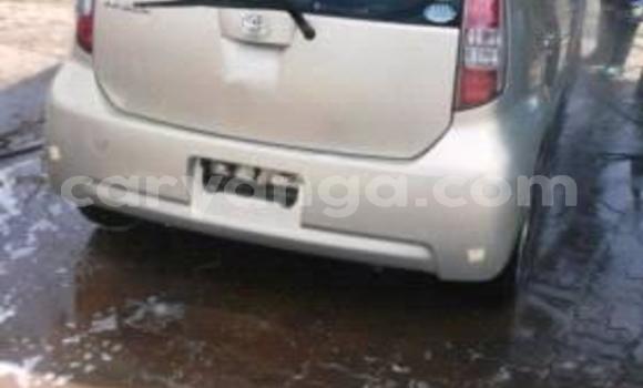 Buy Used Toyota Passo Silver Car in Blantyre in Malawi Buy Used Toyota Passo Silver Car in Blantyre in Malawi