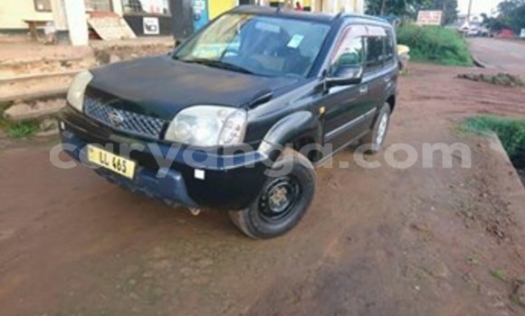 Buy Used Nissan X–Trail Blue Car in Lilongwe in Malawi Buy Used Nissan X–Trail Blue Car in Lilongwe in Malawi