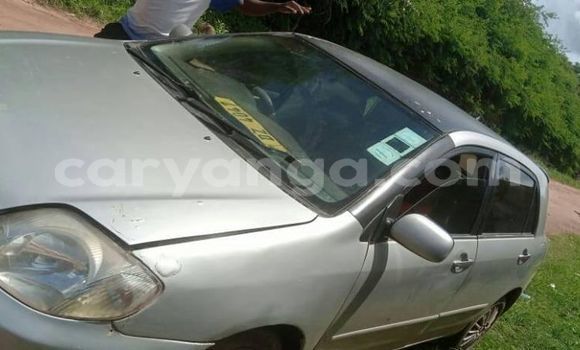 Acheter Occasion Voiture Toyota Allex Gris à Blantyre, Malawi Acheter Occasion Voiture Toyota Allex Gris à Blantyre, Malawi