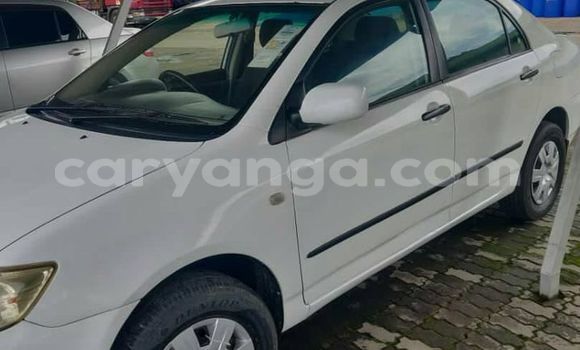 Acheter Occasion Voiture Toyota Corolla Blanc à Blantyre, Malawi Acheter Occasion Voiture Toyota Corolla Blanc à Blantyre, Malawi