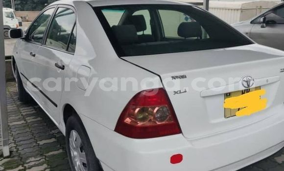 Acheter Occasion Voiture Toyota Corolla Blanc à Blantyre, Malawi Acheter Occasion Voiture Toyota Corolla Blanc à Blantyre, Malawi