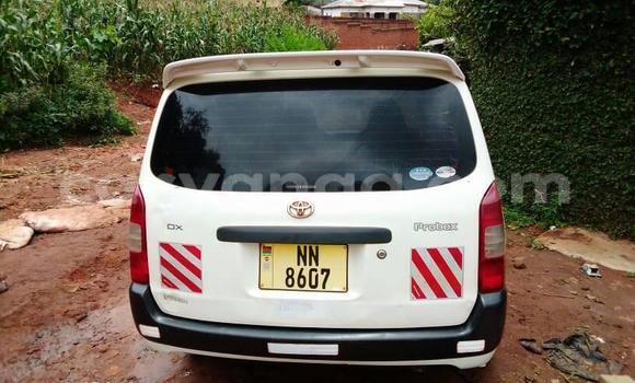 Acheter Occasion Voiture Toyota Probox Blanc à Blantyre, Malawi