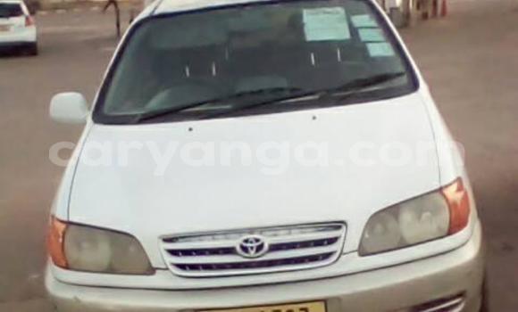 Buy Used Toyota Ipsum White Car in Blantyre in Malawi