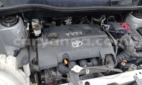 Nunua Ilio tumika Toyota Sienta Green Gari ndani ya Blantyre nchini Malawi Nunua Ilio tumika Toyota Sienta Green Gari ndani ya Blantyre nchini Malawi