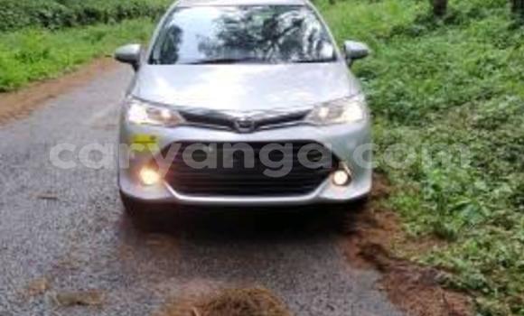 Acheter Occasion Voiture Toyota Axio Gris à Blantyre, Malawi Acheter Occasion Voiture Toyota Axio Gris à Blantyre, Malawi
