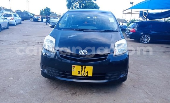 Buy Used Toyota Passo Black Car in Blantyre in Malawi Buy Used Toyota Passo Black Car in Blantyre in Malawi