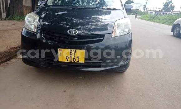 Buy Used Toyota Passo Black Car in Blantyre in Malawi Buy Used Toyota Passo Black Car in Blantyre in Malawi