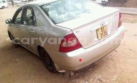 Acheter Occasion Voiture Toyota Corolla Marron à Blantyre, Malawi Acheter Occasion Voiture Toyota Corolla Marron à Blantyre, Malawi