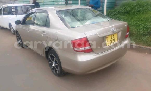 Buy Used Toyota Axio Beige Car in Blantyre in Malawi Buy Used Toyota Axio Beige Car in Blantyre in Malawi