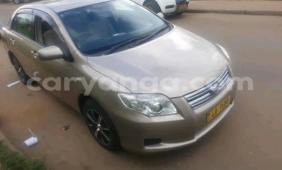 Buy Used Toyota Axio Beige Car in Blantyre in Malawi Buy Used Toyota Axio Beige Car in Blantyre in Malawi