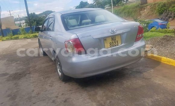 Buy Used Toyota Axio Silver Car in Blantyre in Malawi Buy Used Toyota Axio Silver Car in Blantyre in Malawi