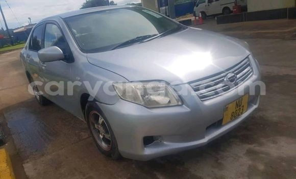 Buy Used Toyota Axio Silver Car in Blantyre in Malawi Buy Used Toyota Axio Silver Car in Blantyre in Malawi