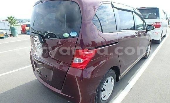 Buy Used Honda Freed Red Car in Blantyre in Malawi Buy Used Honda Freed Red Car in Blantyre in Malawi