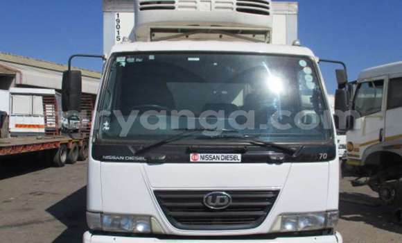 Buy Used Nissan UD White Truck in Blantyre in Malawi
