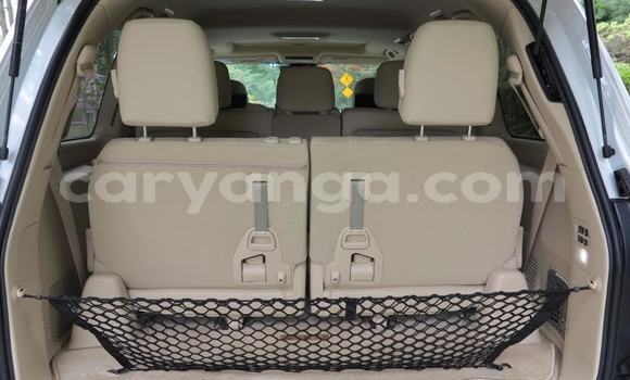 Buy Used Lexus LX 570 White Car in Balaka in Balaka Buy Used Lexus LX 570 White Car in Balaka in Balaka