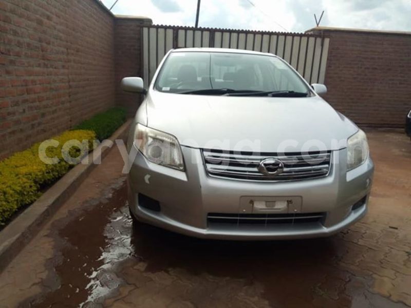 Big with watermark 53160437 2268697280117167 7478503545214337024 n