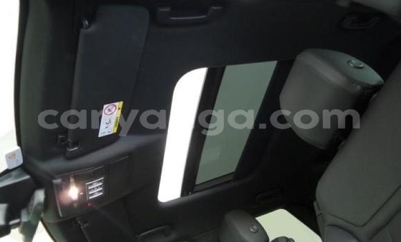 Nunua Ilio tumika Land Rover Discovery Other Gari ndani ya Blantyre nchini Malawi Nunua Ilio tumika Land Rover Discovery Other Gari ndani ya Blantyre nchini Malawi