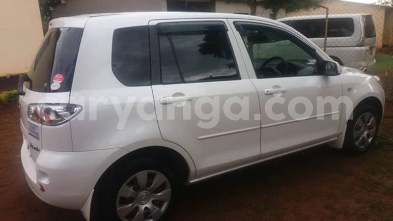 Big with watermark 52964739 2256169264703302 1959877170113282048 n