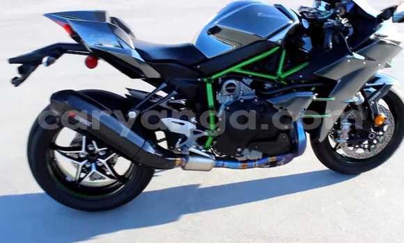 Buy Used Kawasaki Ninja Beige Bike in Chilumba in Karonga Buy Used Kawasaki Ninja Beige Bike in Chilumba in Karonga