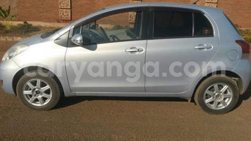 Big with watermark 38926402 2122922004694696 3146485761080033280 n