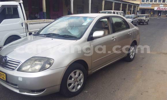 Buy Used Toyota Corolla Black Car in Limbe in Malawi Buy Used Toyota Corolla Black Car in Limbe in Malawi