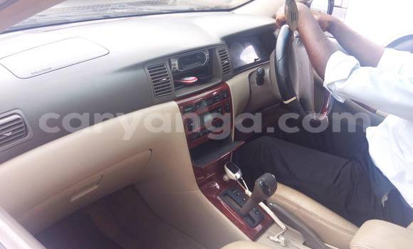 Buy Used Toyota Corolla Black Car in Limbe in Malawi Buy Used Toyota Corolla Black Car in Limbe in Malawi