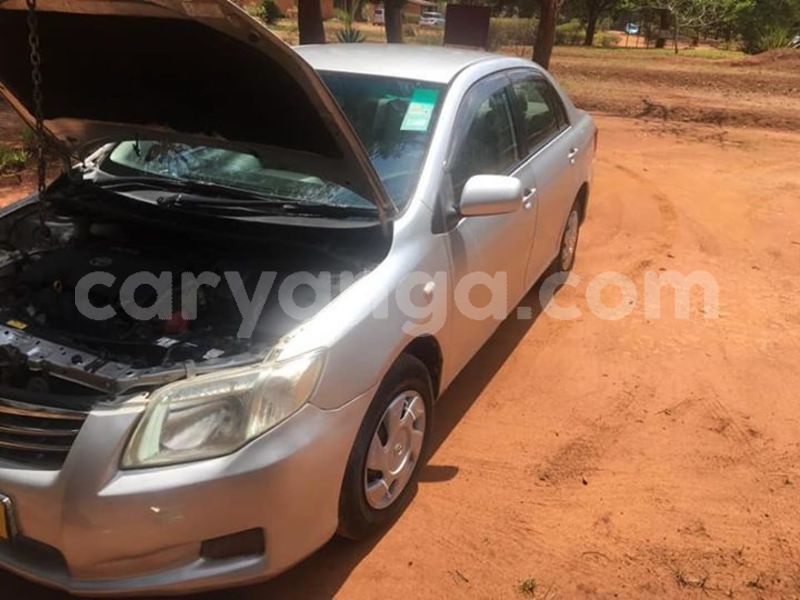 Big with watermark 52867306 379519219529123 5897479027895042048 n