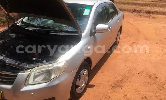 Nunua Ilio tumika Toyota Axio Silver Gari ndani ya Salima nchini Malawi Nunua Ilio tumika Toyota Axio Silver Gari ndani ya Salima nchini Malawi