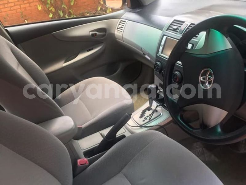 Big with watermark 52696146 379519199529125 2876336986791084032 n