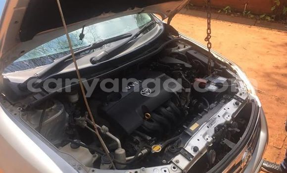 Nunua Ilio tumika Toyota Axio Silver Gari ndani ya Salima nchini Malawi Nunua Ilio tumika Toyota Axio Silver Gari ndani ya Salima nchini Malawi