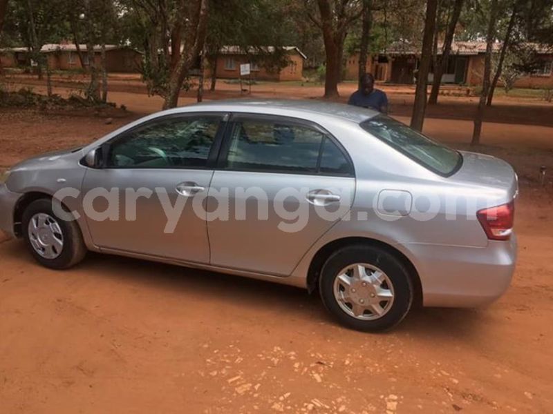 Big with watermark 52333462 379518992862479 701846253721354240 n