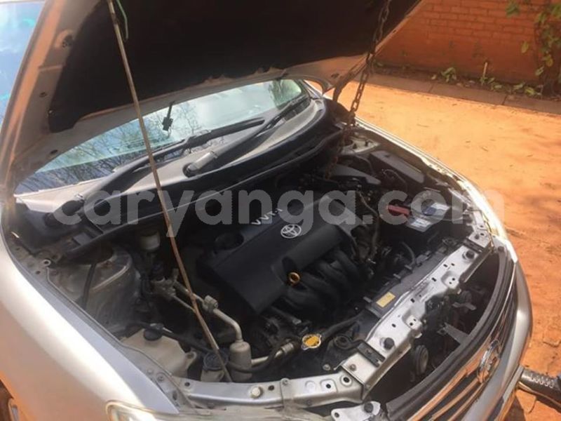 Big with watermark 52830928 379519009529144 7663193087472041984 n