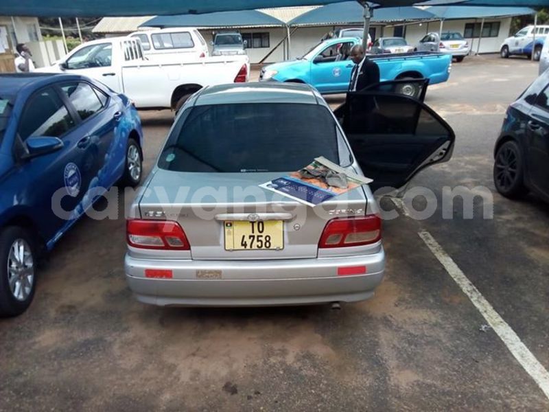 Big with watermark 52469115 379370999543945 3354027690448388096 n