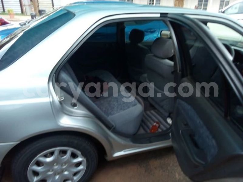 Big with watermark 52537845 379370962877282 1794036538510671872 n