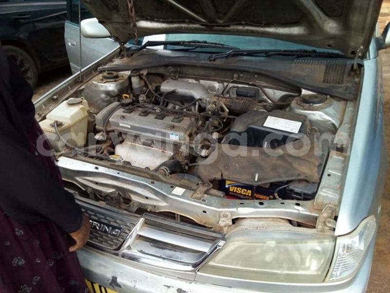 Big with watermark 52586451 379370826210629 5110045307303886848 n