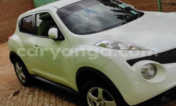 Buy Used Nissan Juke White Car in Kasungu in Malawi Buy Used Nissan Juke White Car in Kasungu in Malawi