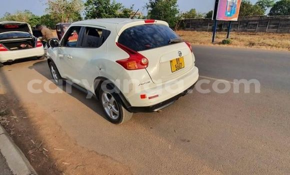 Buy Used Nissan Juke White Car in Kasungu in Malawi Buy Used Nissan Juke White Car in Kasungu in Malawi