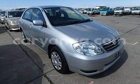 Buy Import Toyota Corolla Other Car in Blantyre in Malawi