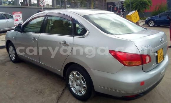 Buy Used Nissan Bluebird Silver Car in Lilongwe in Malawi Buy Used Nissan Bluebird Silver Car in Lilongwe in Malawi