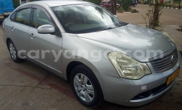 Buy Used Nissan Bluebird Silver Car in Lilongwe in Malawi Buy Used Nissan Bluebird Silver Car in Lilongwe in Malawi